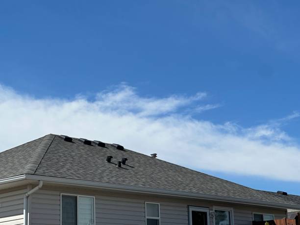 Professional Roofing Services in Fishhook, AK